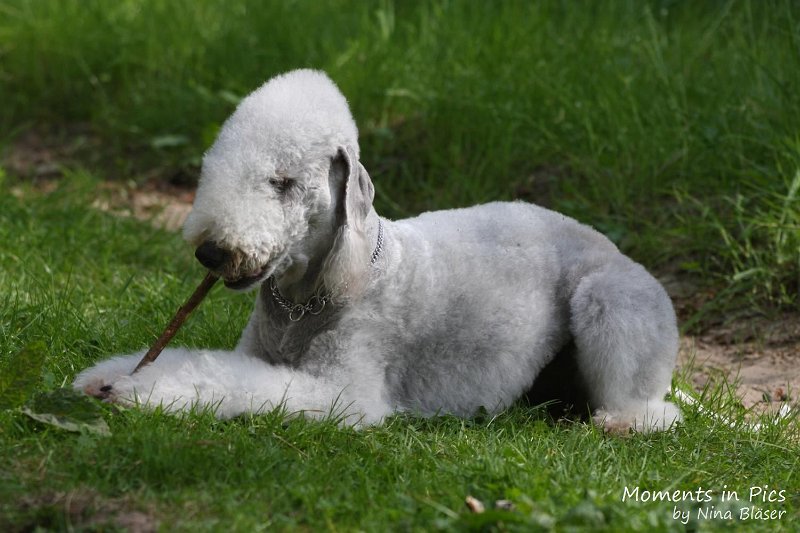 2010-05-29 Alanna und Svet (17).jpg - Arc-en-ciel Alanna 2010-05-29